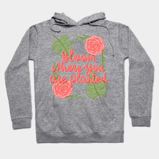 Bloom where youplanted Hoodie